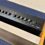Fender Acoustic 100 2 Channel Acoustic Guitar Amp