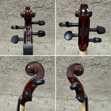 Palatino VN-350 1/2 Size Violin Outfit