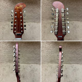 Fender Villager 12-String Acoustic Electric Guitar W Deluxe Bag A