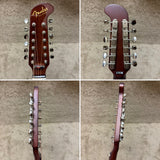 Fender Villager 12-String Acoustic Electric Guitar W Deluxe Bag B