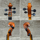 Palatino VN-350 1/2 Size Violin Outfit