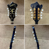 Washburn Mandolin M-ISDL TBL Transparent Blue