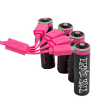 Ernie Ball USB-C Rechargeable AA Battery by Paleblue 4-Pack