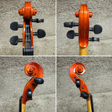 Vizcaya VL-NR Violin Outfit 4/4