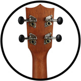 Amahi Mahogany DDUK11 Soprano Ukulele w/Bag