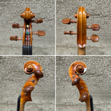 Stefan Petrov Trista Select Violin 4/4 W/ Case & Bow