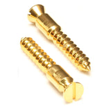 Floyd Rose FR Original Bridge Mounting Wood Screws Gold Pair