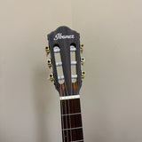 Ibanez FRH10N-BSF Nylon String Acoustic-Electric Guitar