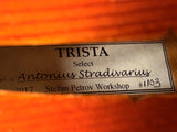 Stefan Petrov Trista Select Violin 4/4 W/ Case & Bow B