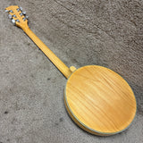 Gold Tone GT-500 Electric Banjitar 6-String Banjo Guitar Natural w/ HSC