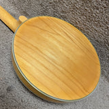 Gold Tone GT-500 Electric Banjitar 6-String Banjo Guitar Natural w/ HSC