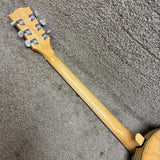 Gold Tone GT-500 Electric Banjitar 6-String Banjo Guitar Natural w/ HSC