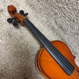 Palatino VN-350 1/2 Size Violin Outfit