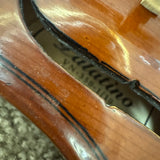 Palatino VN350 Violin Outfit 1/10