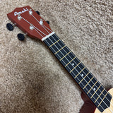 Amahi PNUKTN Soprano Ukulele Tan w/ Bag
