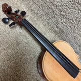 Bryan Hamilton Violin USA 2010 w/ Case & Bow
