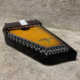 RBI Chromaharp Autoharp