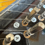 RBI Chromaharp Autoharp