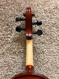 Palatino VN-300 Violin Outfit 1/4