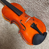 Vizcaya VL-NR Violin Outfit 4/4