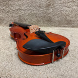 Vizcaya VL-NR Violin Outfit 4/4