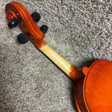 Vizcaya VL-NR Violin Outfit 4/4