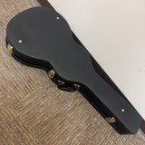 Gold Tone Arch Top Weissenborn Case