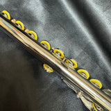 Eastman EFL-210 Flute