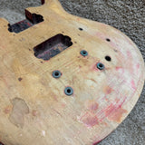 Guitar Body