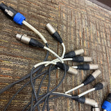 Rapco 75’ Snake USA 8 x4