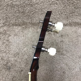 Stelling Red Fox Banjo 2004 W/ Case