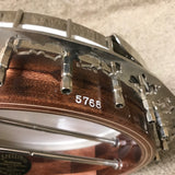 Stelling Red Fox Banjo 2004 W/ Case