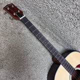 Gold Tone TG-10 Tenor Guitar