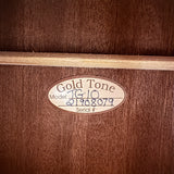 Gold Tone TG-10 Tenor Guitar