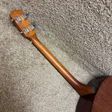 Gold Tone TG-10 Tenor Guitar