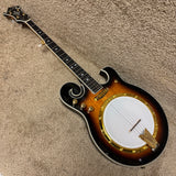 Gold Tone EBM-5 Electric Banjo
