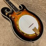 Gold Tone EBM-5 Electric Banjo