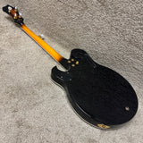 Gold Tone EBM-5 Electric Banjo