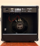 Acoustic G20 Electric Guitar Amplifier