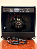 Acoustic G20 Electric Guitar Amplifier