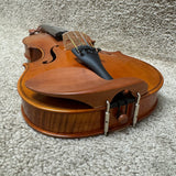 Stefan Petrov Trista Select Violin 4/4 W/ Case & Bow