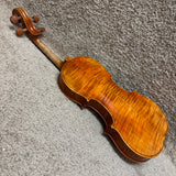 Stefan Petrov Trista Select Violin 4/4 W/ Case & Bow