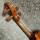 Stefan Petrov Trista Select Violin 4/4 W/ Case & Bow