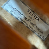 Stefan Petrov Trista Select Violin 4/4 W/ Case & Bow