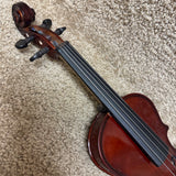 Palatino VN-450 Violin Outfit 1/8