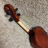 Palatino VN-300 3/4 Size Violin Outfit