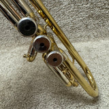 Bandnow Trumpet w/ Mouthpiece & Case