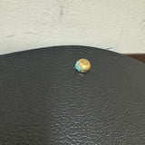 Gold Tone Hardshell Case Dulciborn