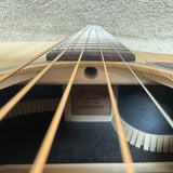 Martin GPC-X2E Sitka / Cocobolo 2025 w/ Gig Bag