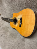 Seagull Artist Series Rosewood Spruce